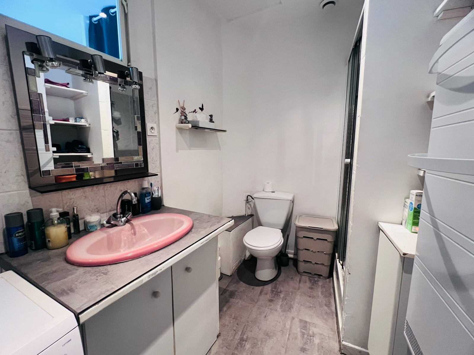 Salle d'eau et toilettes